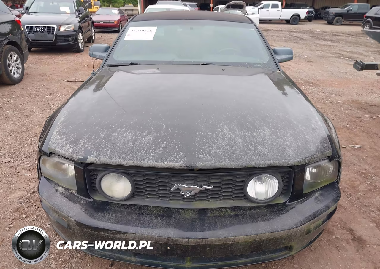2006 Ford Mustang Gt VIN:1ZVFT82H365147554 - 6