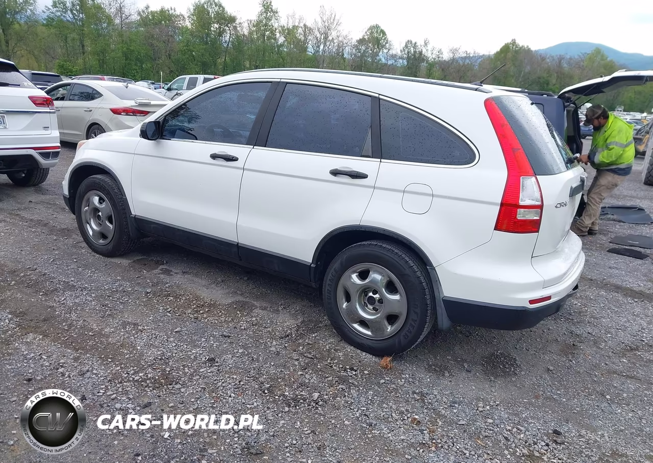 2010 Honda Cr-V Lx VIN:5J6RE3H32AL031222 - 3