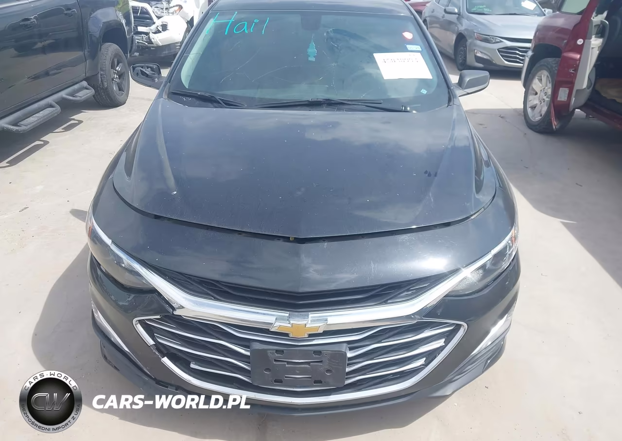 2019 Chevrolet Malibu 1Ls VIN:1G1ZB5ST7KF203823 - 12