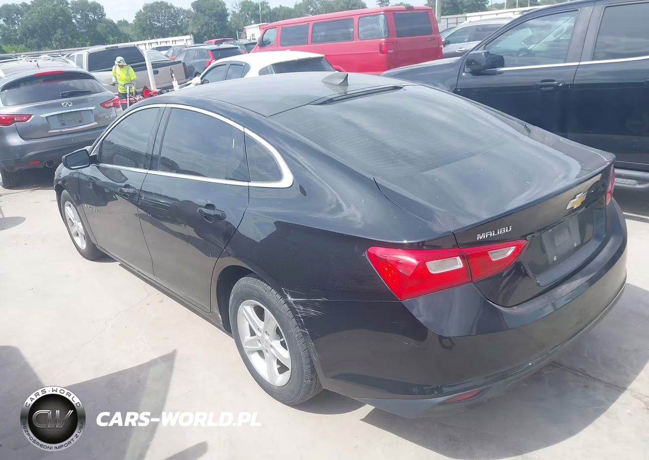 2019 Chevrolet Malibu 1Ls VIN:1G1ZB5ST7KF203823 - 3