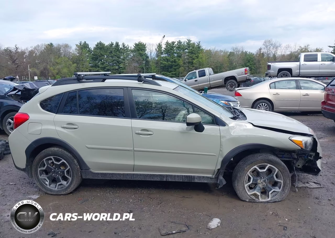 2015 Subaru Xv Crosstrek 2.0I Premium VIN:JF2GPAFC9F8309432 - 13