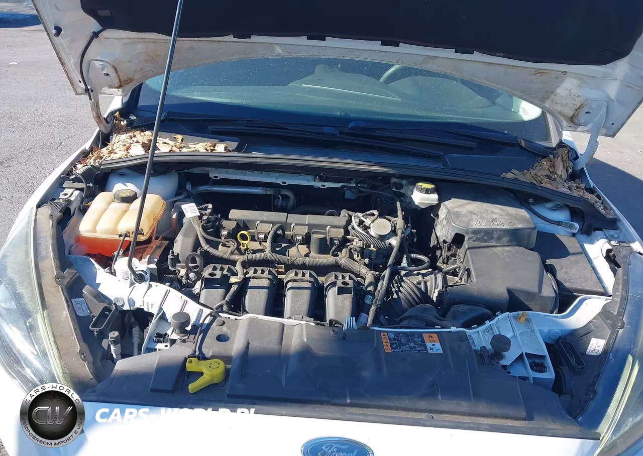 2017 Ford Focus Sel VIN:1FADP3M28HL227317 - 10