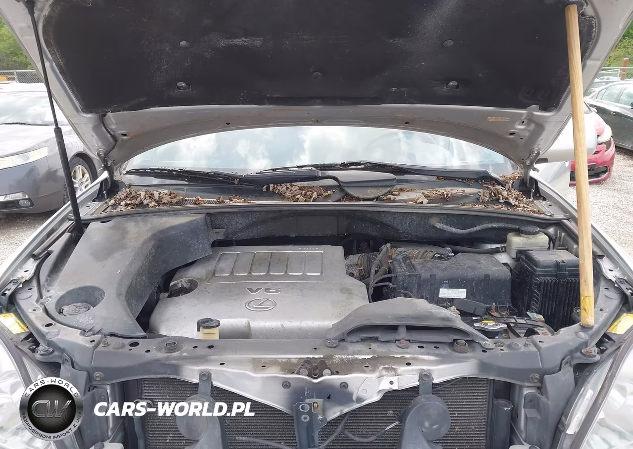 2009 Lexus Rx 350 VIN:2T2GK31U09C065635 - 10