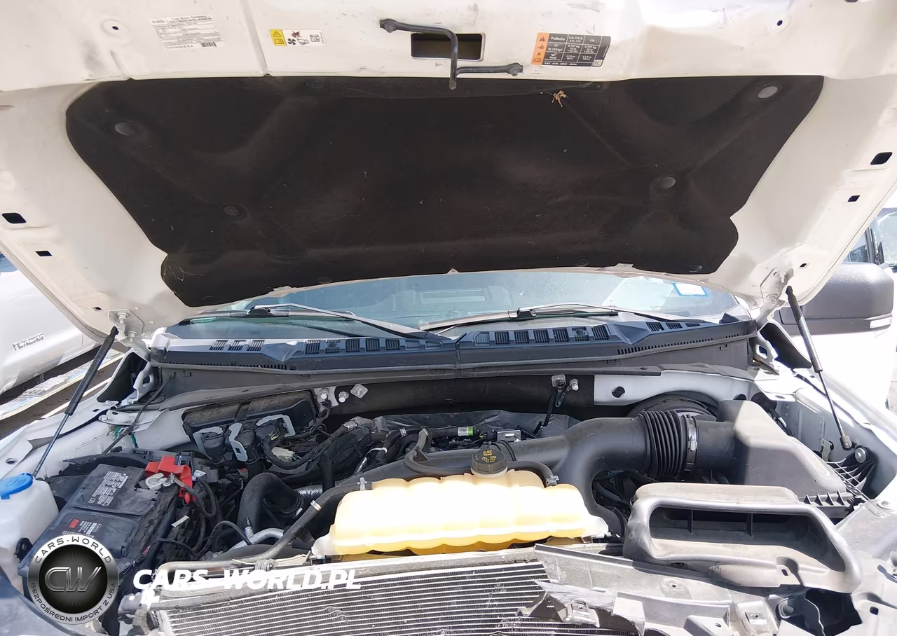 2020 Ford F-150 Xlt VIN:1FTEW1CP2LKF18252 - 10