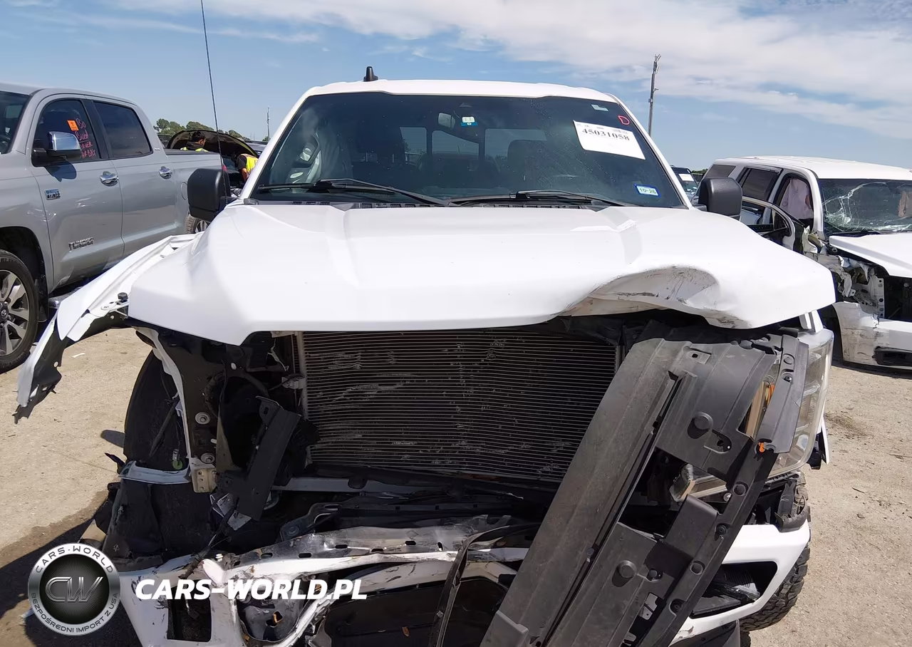 2020 Ford F-150 Xlt VIN:1FTEW1CP2LKF18252 - 6