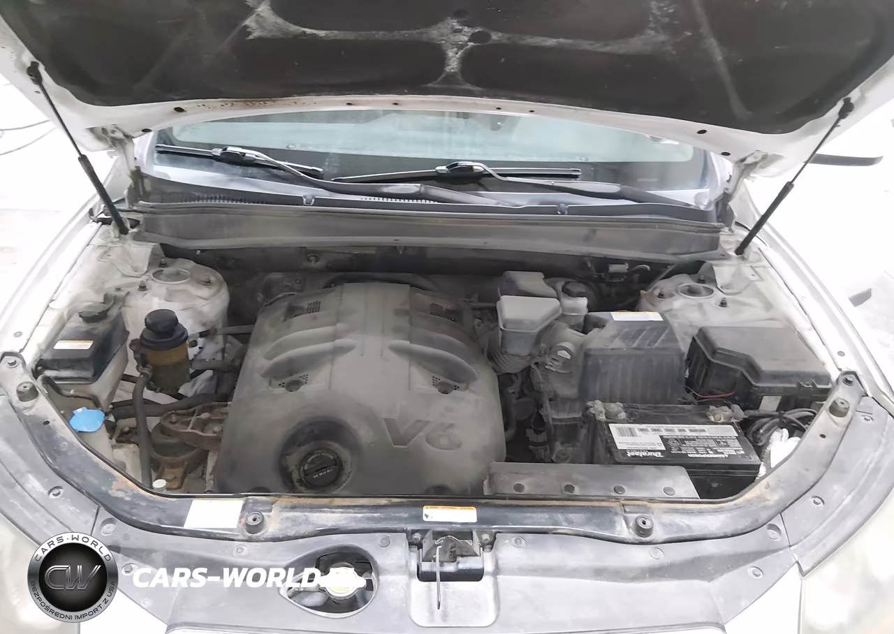 2009 Hyundai Santa Fe Limited VIN:5NMSH13E29H229999 - 10