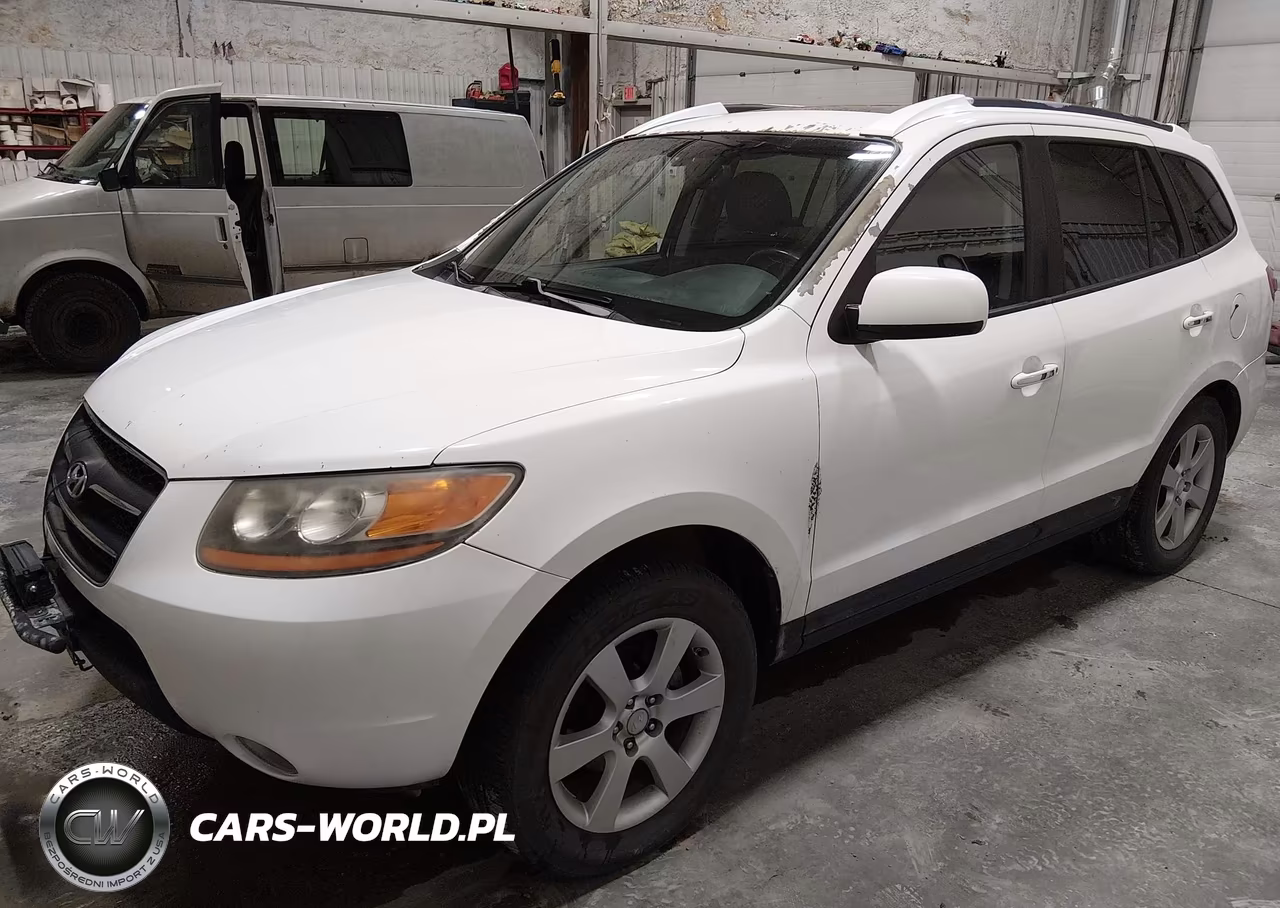 2009 Hyundai Santa Fe Limited VIN:5NMSH13E29H229999 - 2