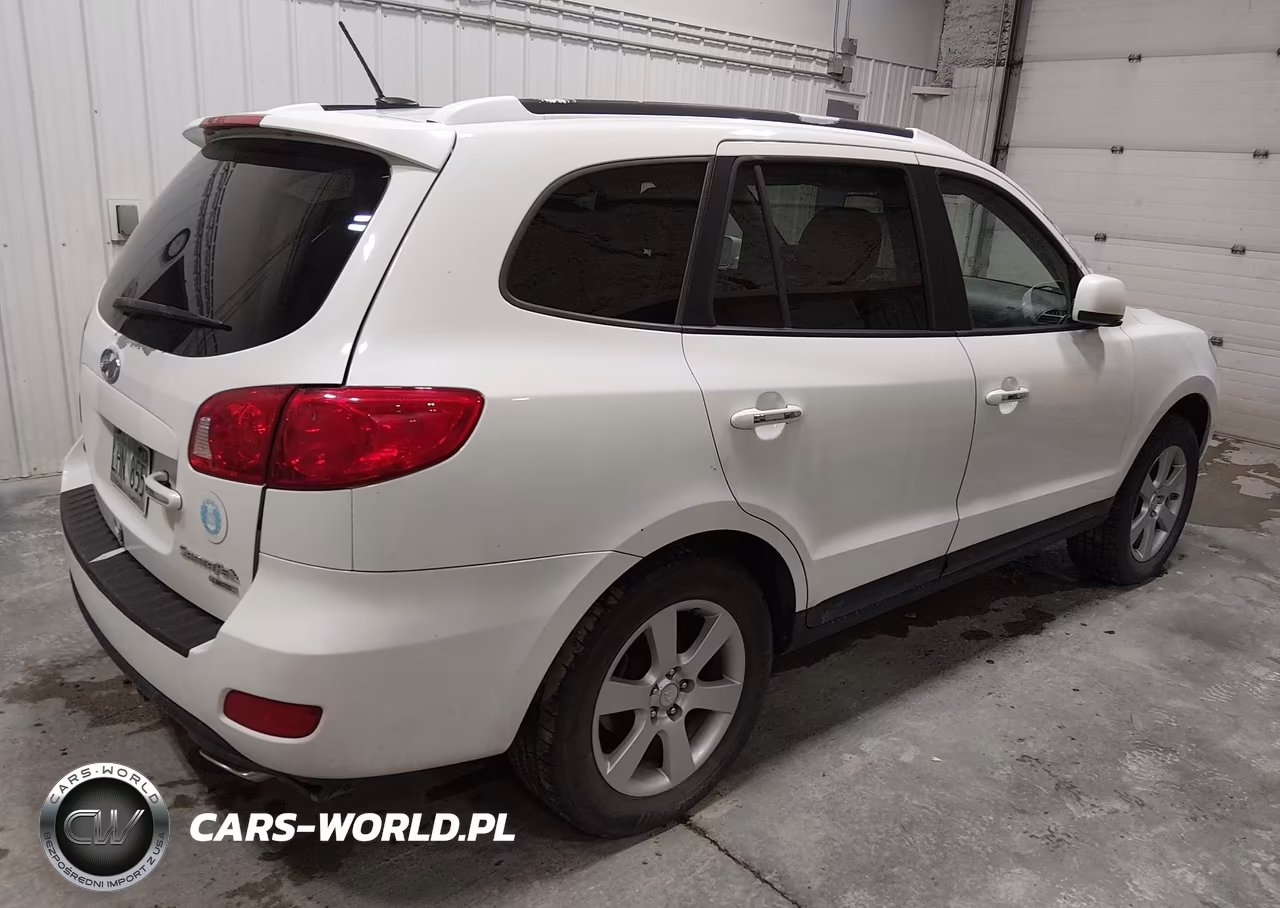 2009 Hyundai Santa Fe Limited VIN:5NMSH13E29H229999 - 4