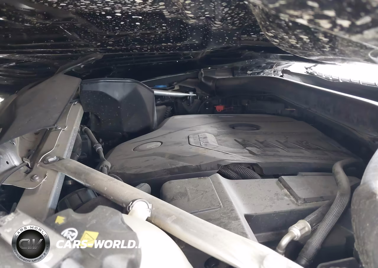 2024 BMW X4 xDrive30I VIN:5UX33DT06R9U60391 - 10