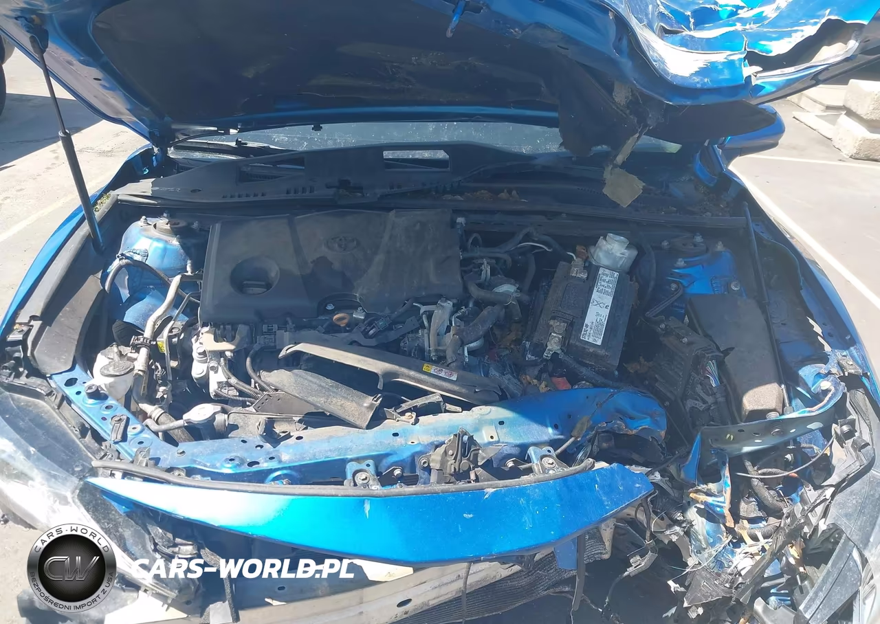 2019 Toyota Camry Le VIN:4T1B11HK0KU253327 - 10