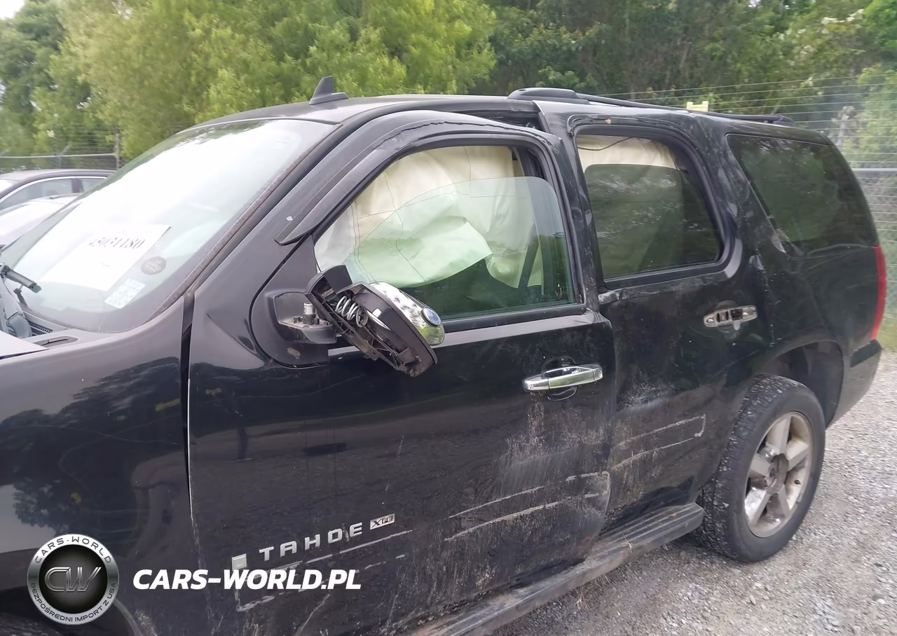 2009 Chevrolet Tahoe Ls VIN:1GNEC13319R168707 - 12