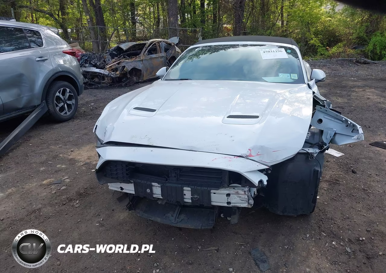 2019 Ford Mustang Ecoboost Premium VIN:1FATP8UHXK5149003 - 12