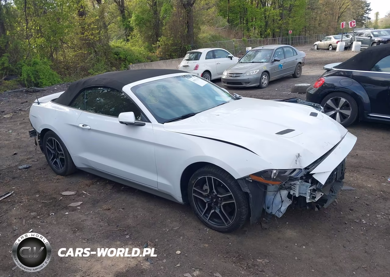 2019 Ford Mustang Ecoboost Premium VIN:1FATP8UHXK5149003 - 13