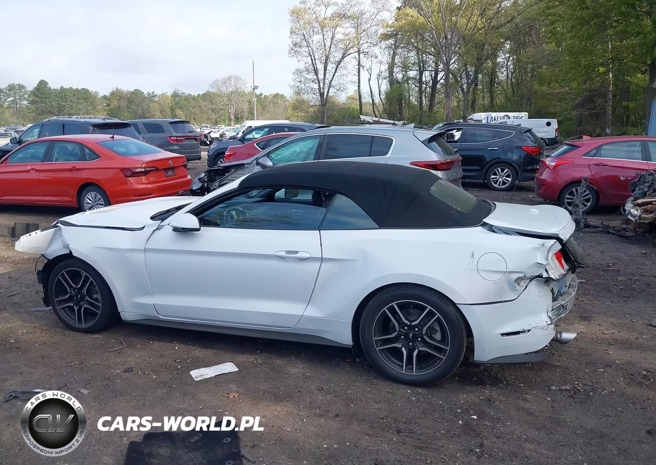 2019 Ford Mustang Ecoboost Premium VIN:1FATP8UHXK5149003 - 14