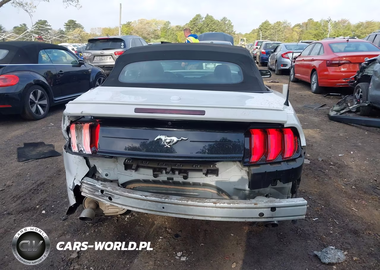 2019 Ford Mustang Ecoboost Premium VIN:1FATP8UHXK5149003 - 16