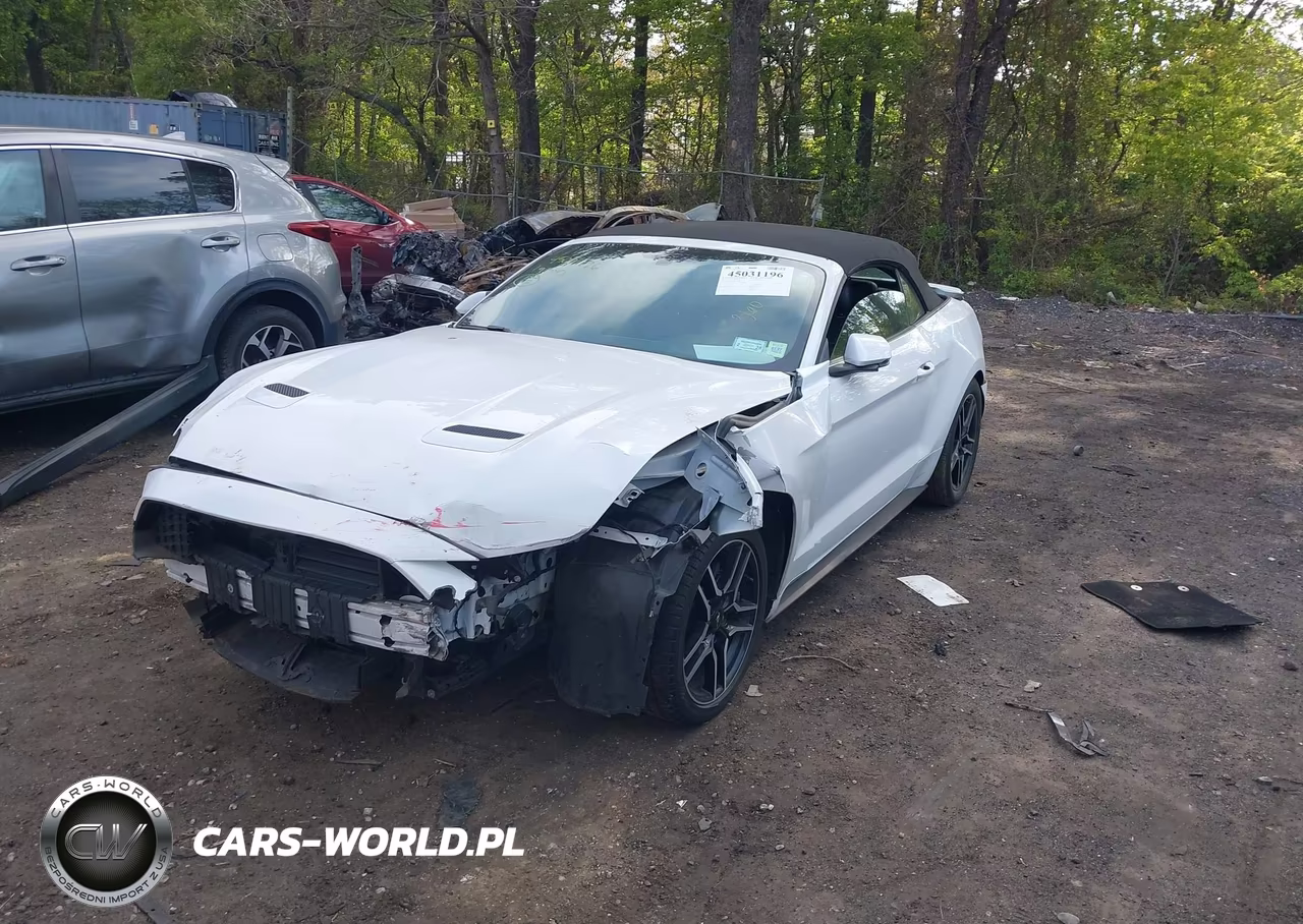 2019 Ford Mustang Ecoboost Premium VIN:1FATP8UHXK5149003 - 2