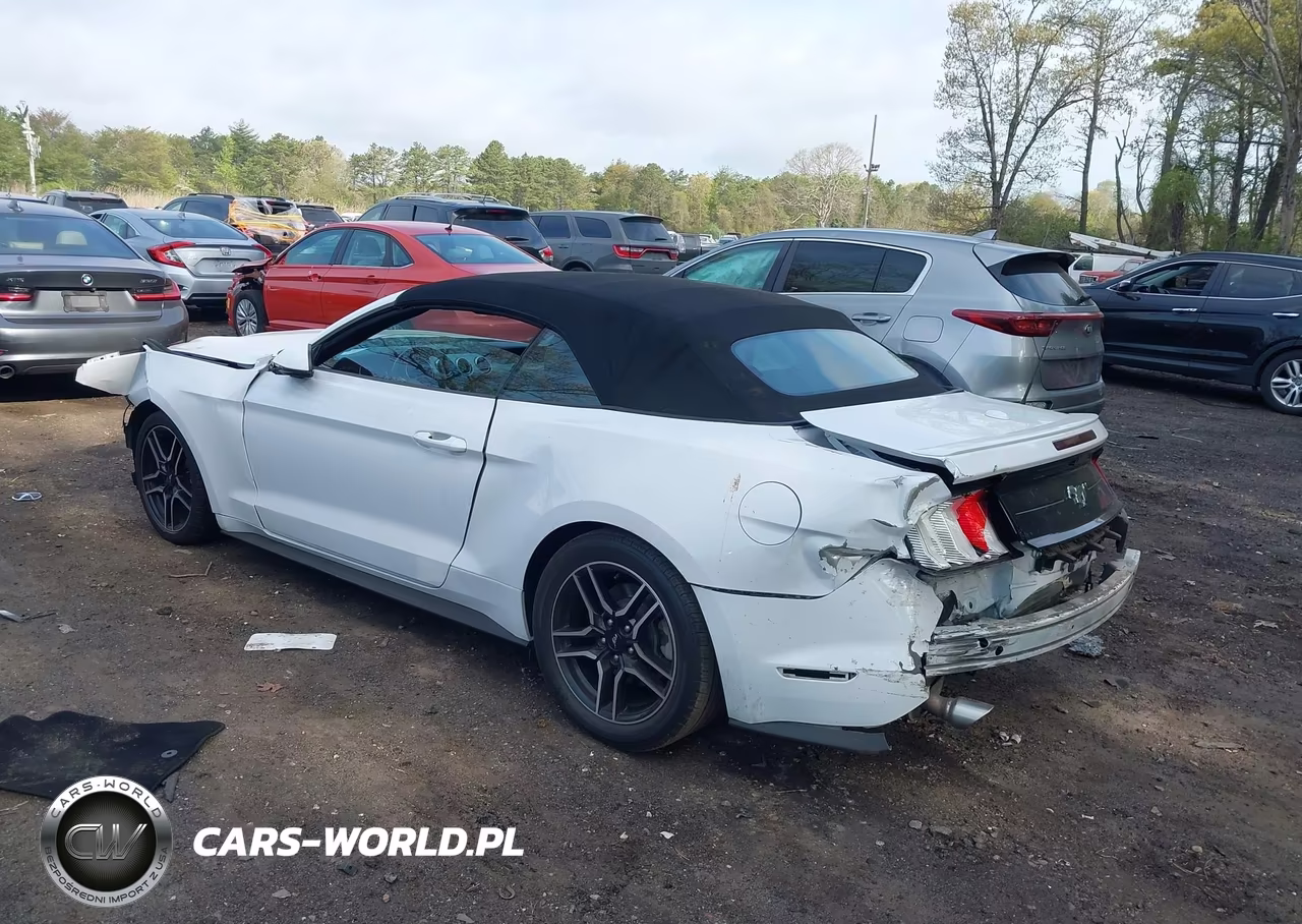 2019 Ford Mustang Ecoboost Premium VIN:1FATP8UHXK5149003 - 3