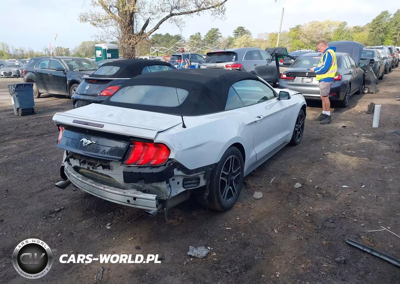 2019 Ford Mustang Ecoboost Premium VIN:1FATP8UHXK5149003 - 4