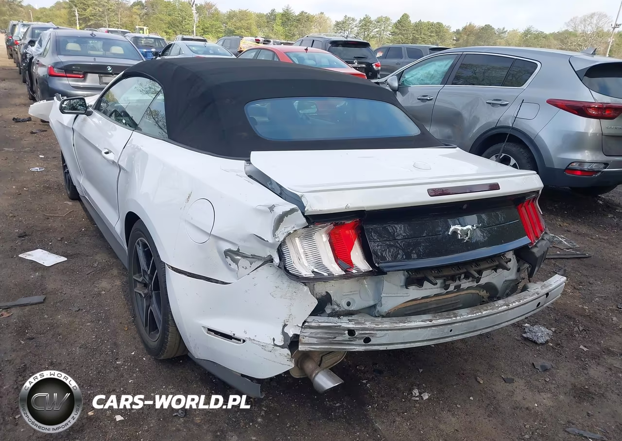 2019 Ford Mustang Ecoboost Premium VIN:1FATP8UHXK5149003 - 6
