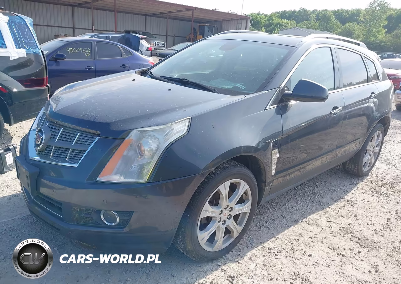 2010 Cadillac Srx Premium Collection VIN:3GYFNCEY1AS560125 - 2