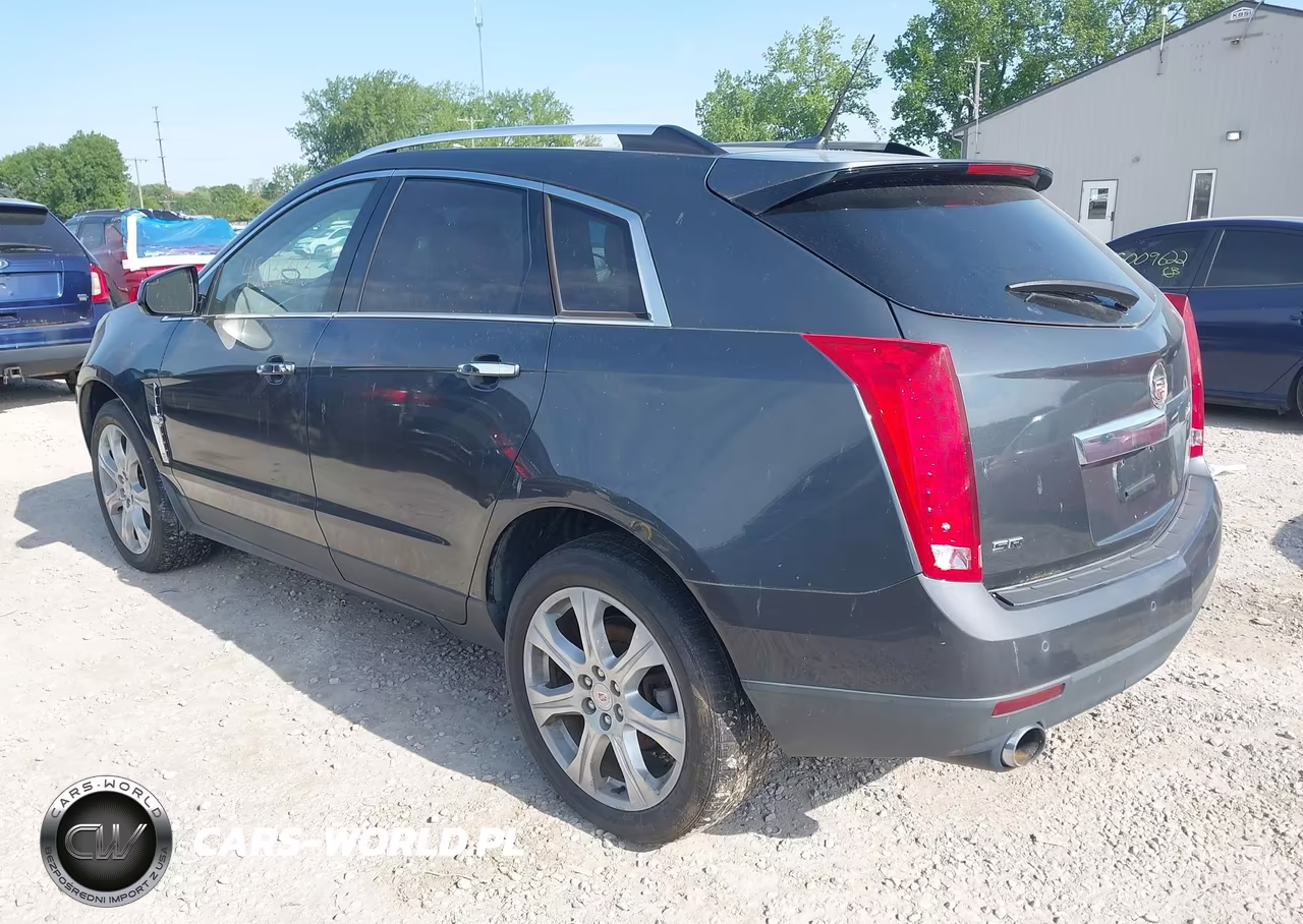 2010 Cadillac Srx Premium Collection VIN:3GYFNCEY1AS560125 - 3