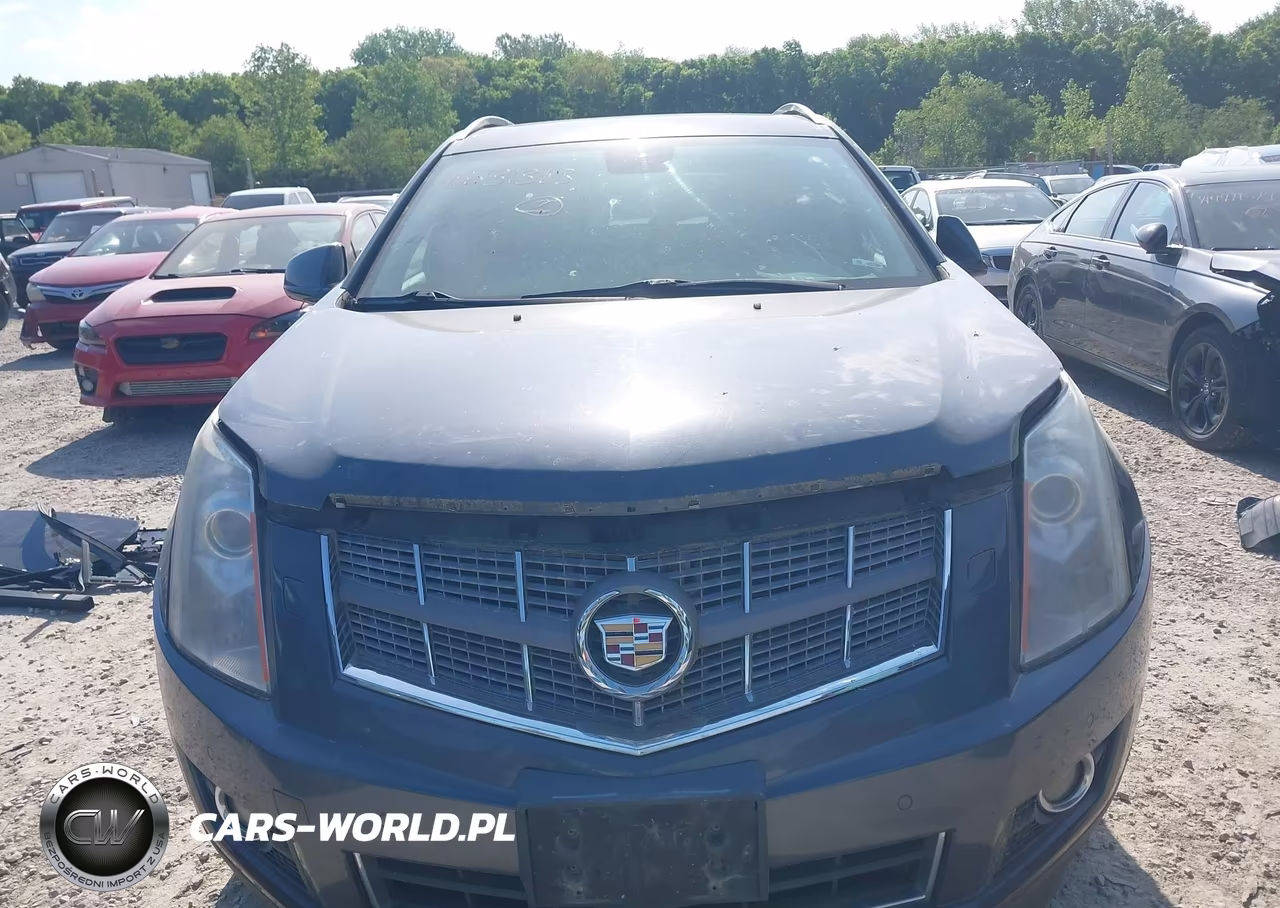2010 Cadillac Srx Premium Collection VIN:3GYFNCEY1AS560125 - 6
