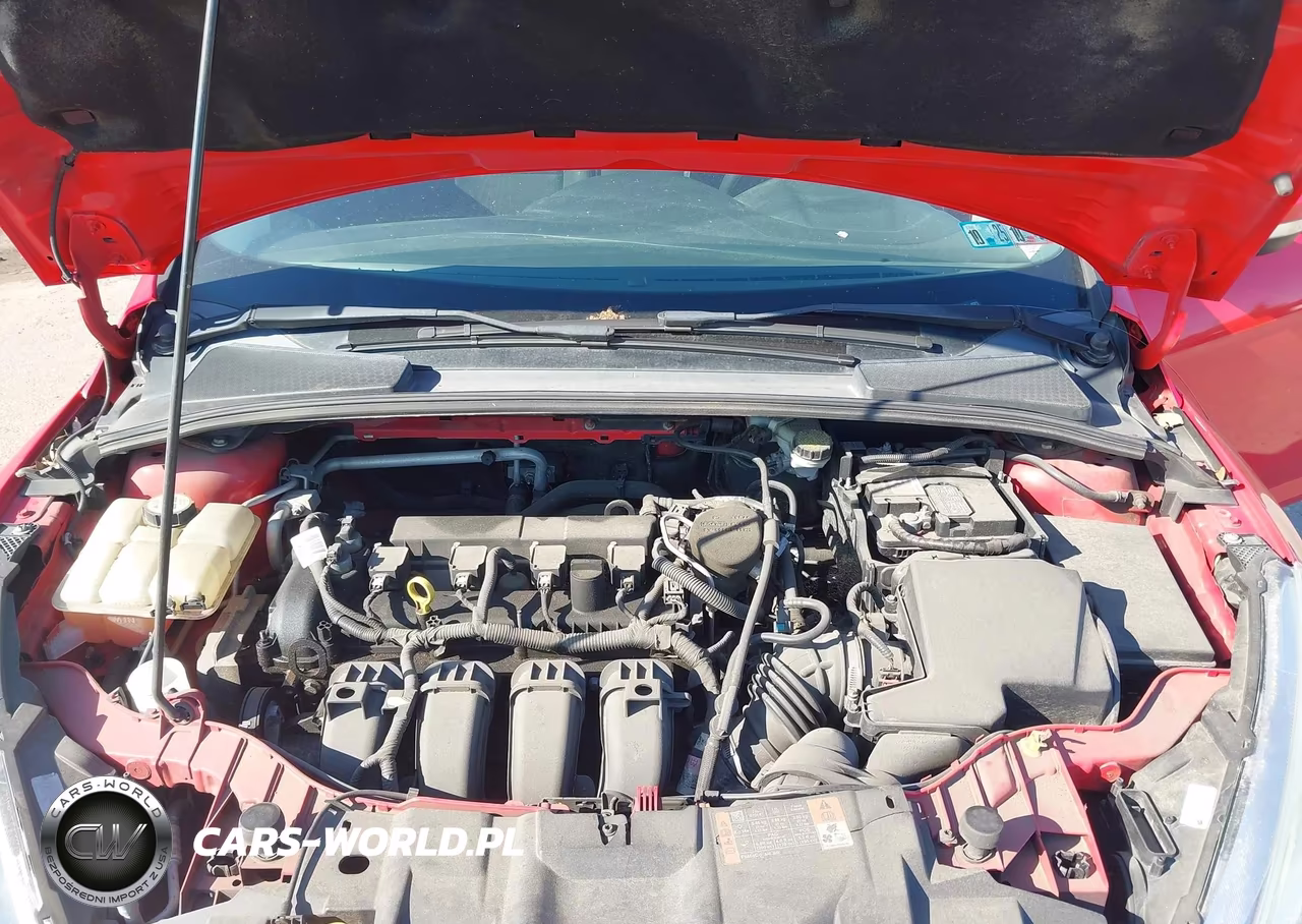 2015 Ford Focus Se VIN:1FADP3F21FL316723 - 10
