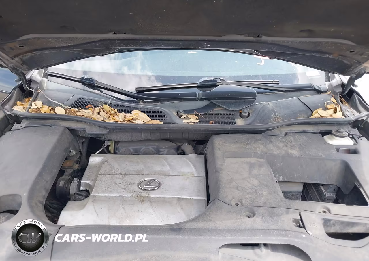 2010 Lexus Rx 350 VIN:2T2BK1BA3AC053440 - 10