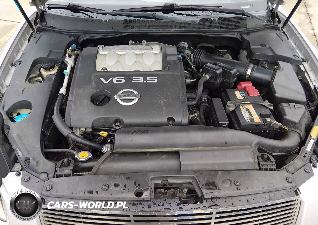 2004 Nissan Maxima 3.5 Se VIN:1N4BA41E14C899162 - 10