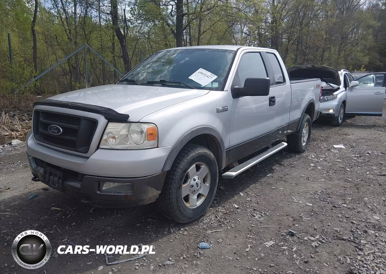 2005 Ford F-150 Fx4-Lariat-Xl-Xlt VIN:1FTPX14585NA92491 - 2