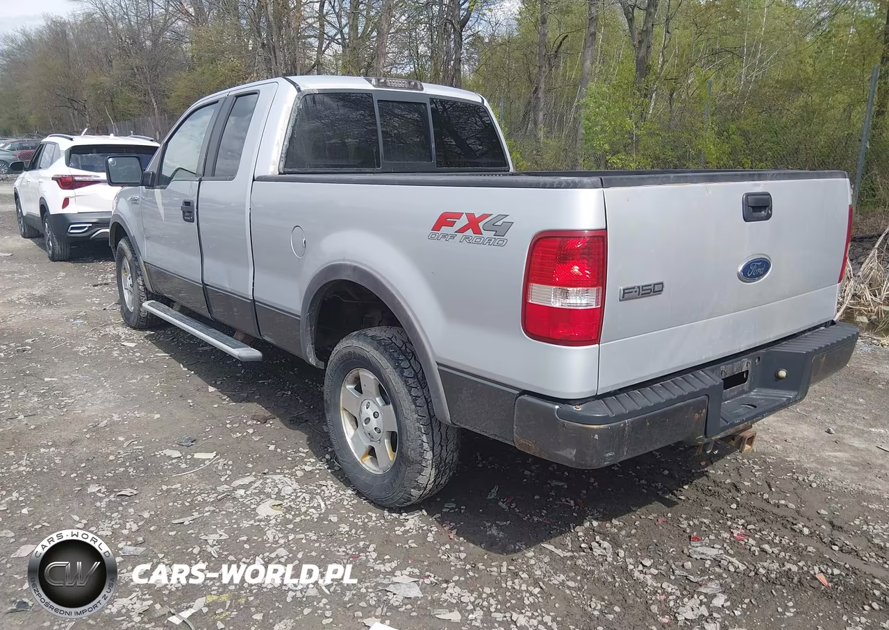 2005 Ford F-150 Fx4-Lariat-Xl-Xlt VIN:1FTPX14585NA92491 - 3