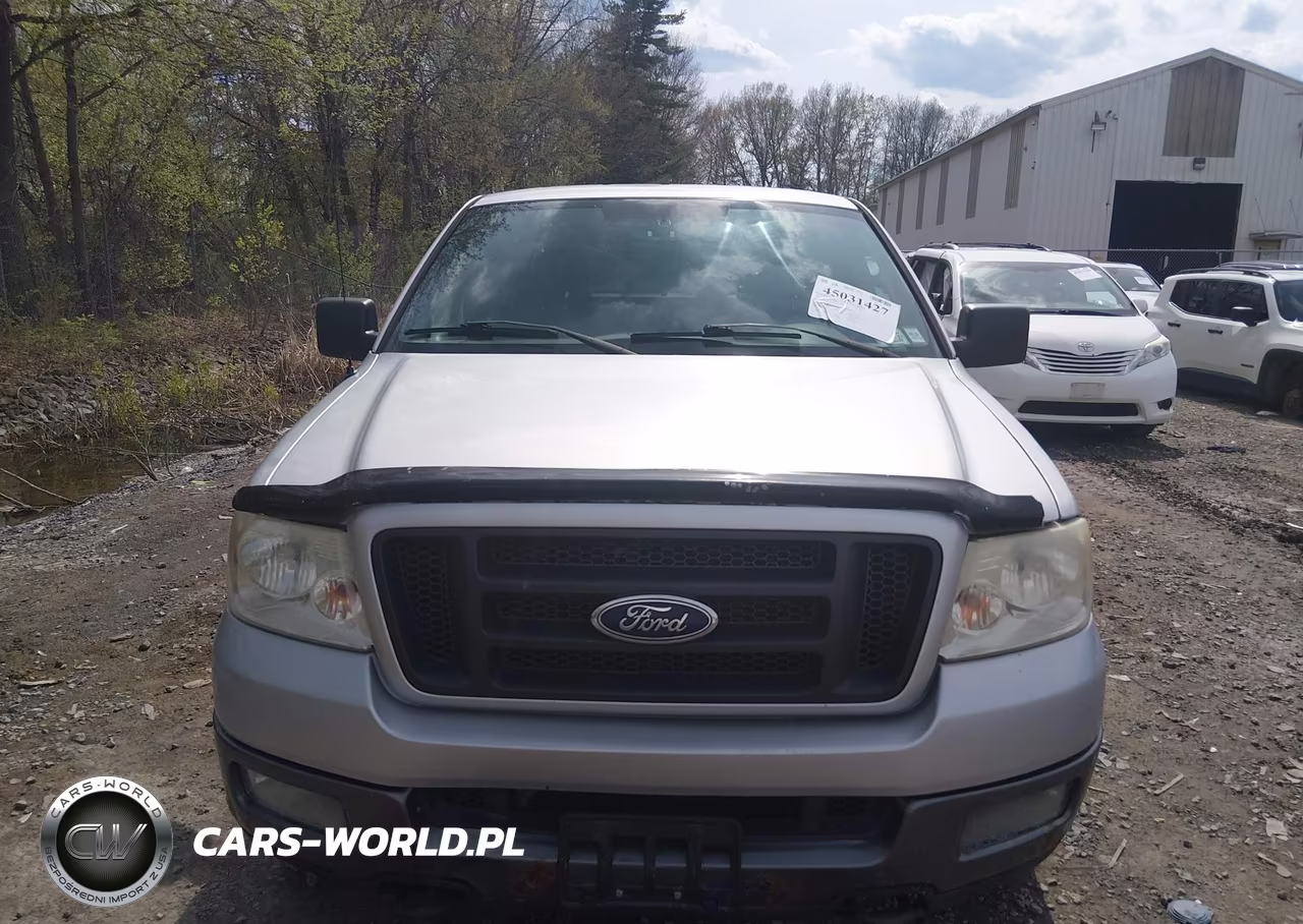 2005 Ford F-150 Fx4-Lariat-Xl-Xlt VIN:1FTPX14585NA92491 - 6