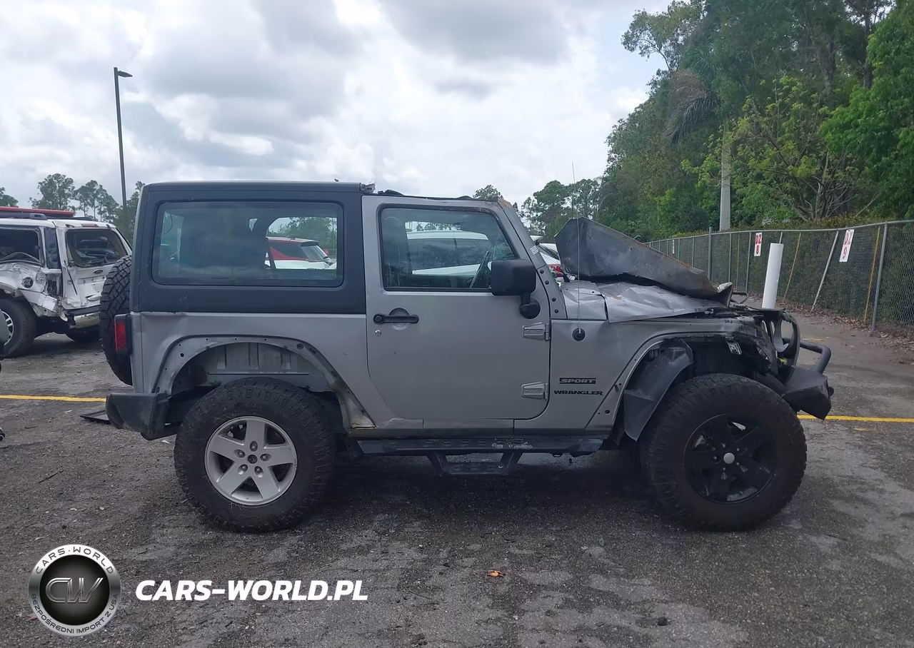 2017 Jeep Wrangler Sport 4X4 VIN:1C4GJWAG9HL601041 - 13