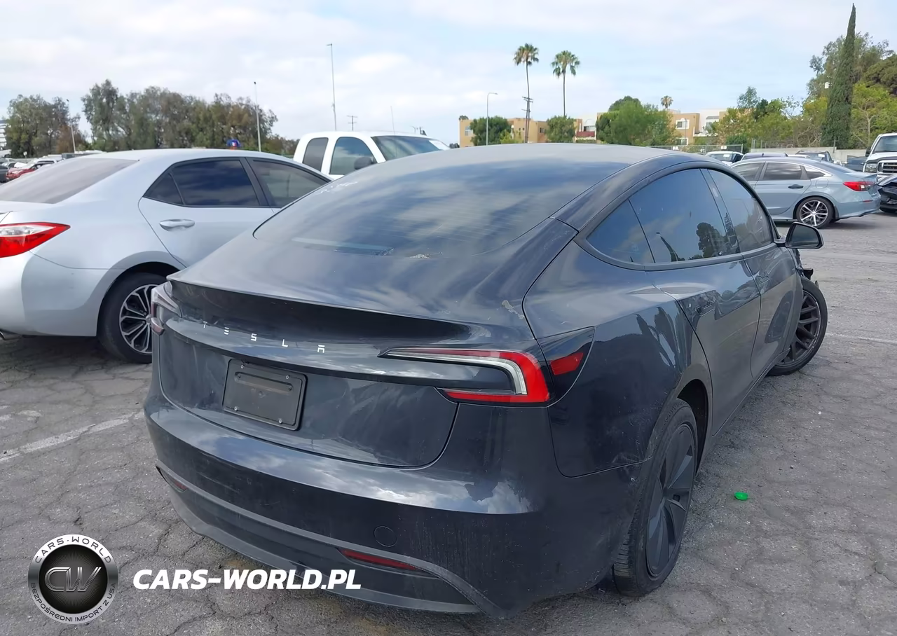 2025 Tesla Model 3 Long Range Rear-Wheel Drive-Standard Rear-Wheel Drive VIN:5YJ3E1EA8SF991460 - 4