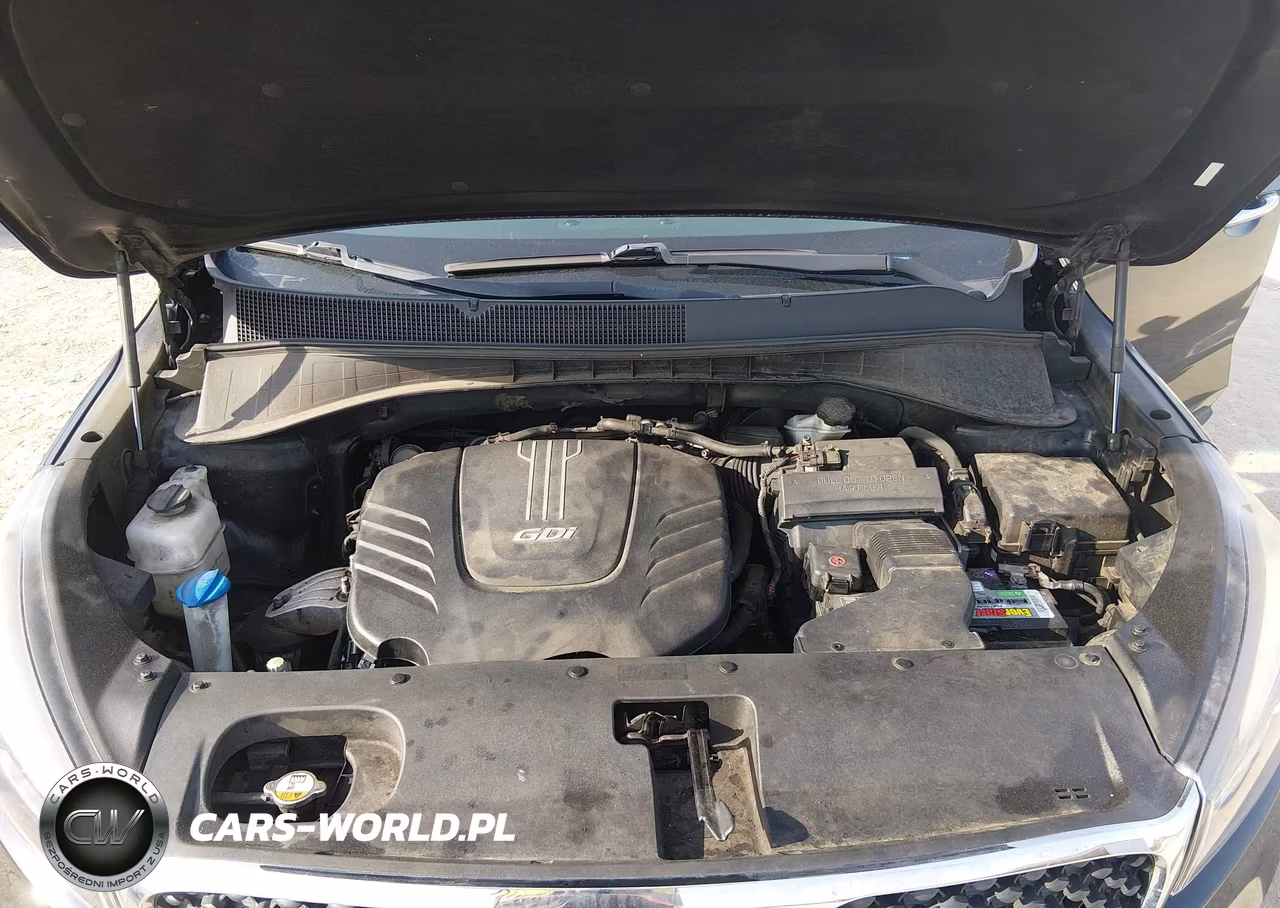 2016 Kia Sorento 3.3L Lx VIN:5XYPGDA55GG180625 - 10
