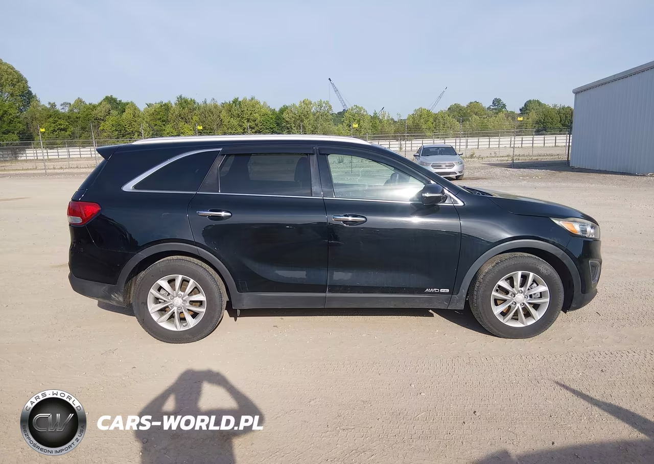 2016 Kia Sorento 3.3L Lx VIN:5XYPGDA55GG180625 - 13
