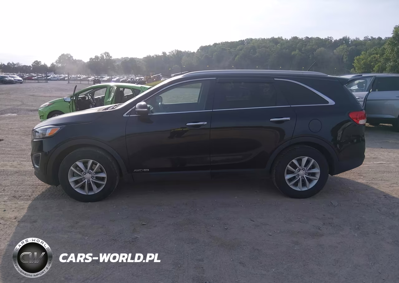 2016 Kia Sorento 3.3L Lx VIN:5XYPGDA55GG180625 - 14