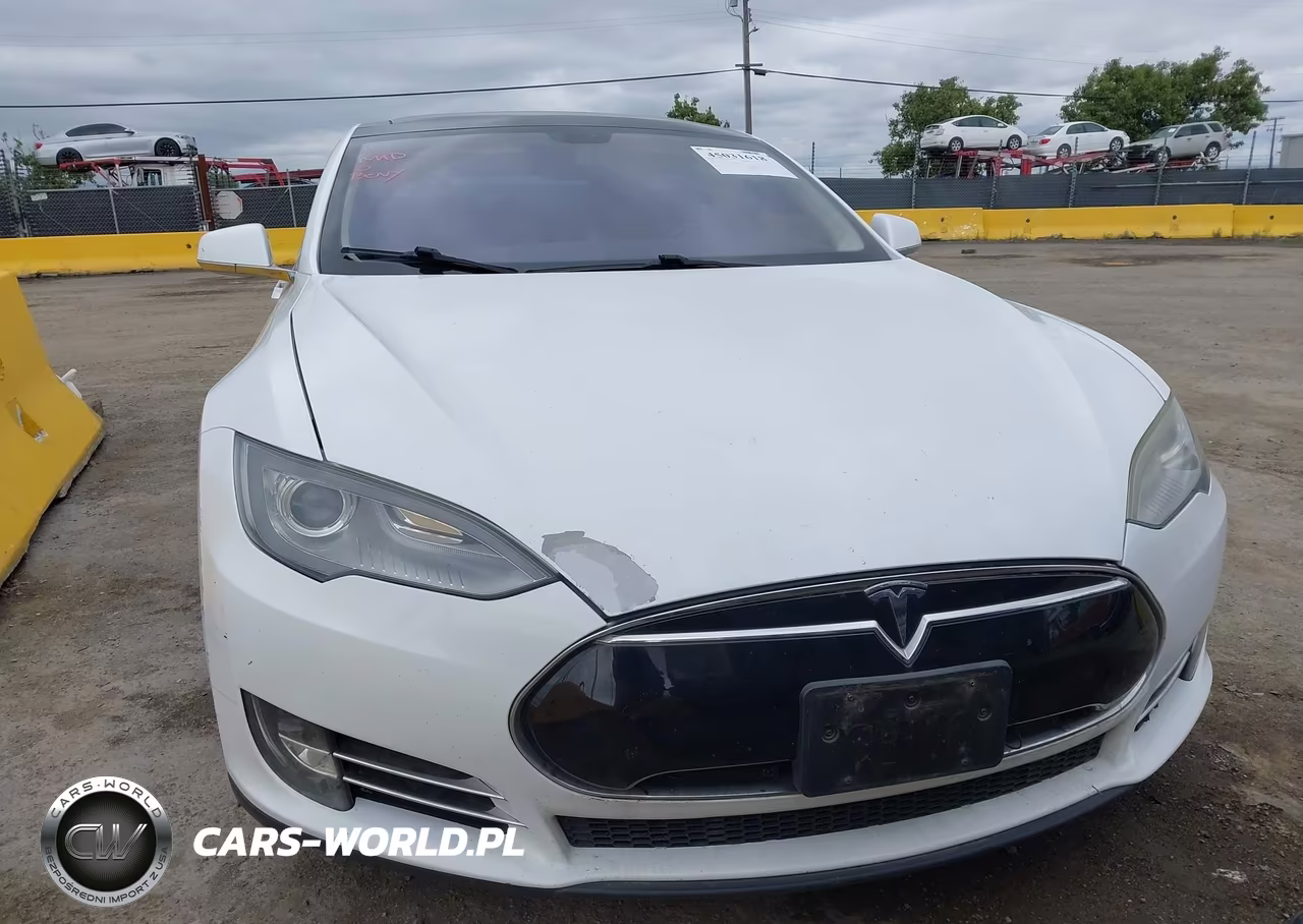 2013 Tesla Model S Performance VIN:5YJSA1CP6DFP21175 - 12