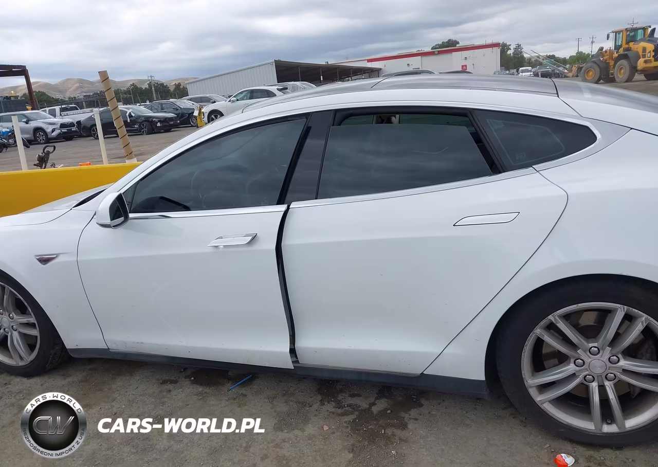 2013 Tesla Model S Performance VIN:5YJSA1CP6DFP21175 - 14