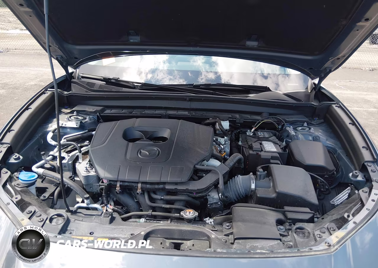 2024 Mazda Cx-30 2.5 S Carbon Edition VIN:3MVDMBCM3RM645539 - 10