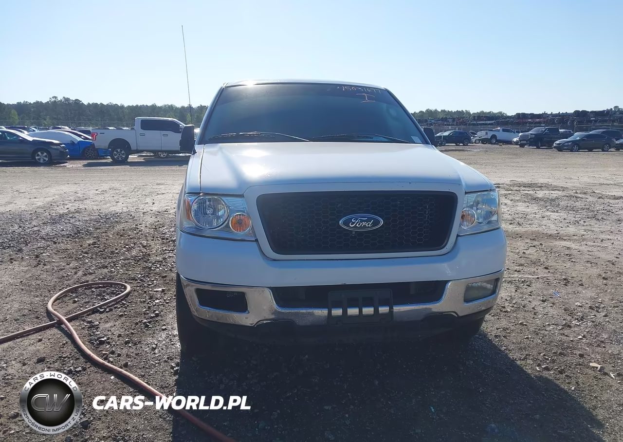 2004 Ford F-150 Stx-Xl-Xlt VIN:1FTRF12W54NC62716 - 16