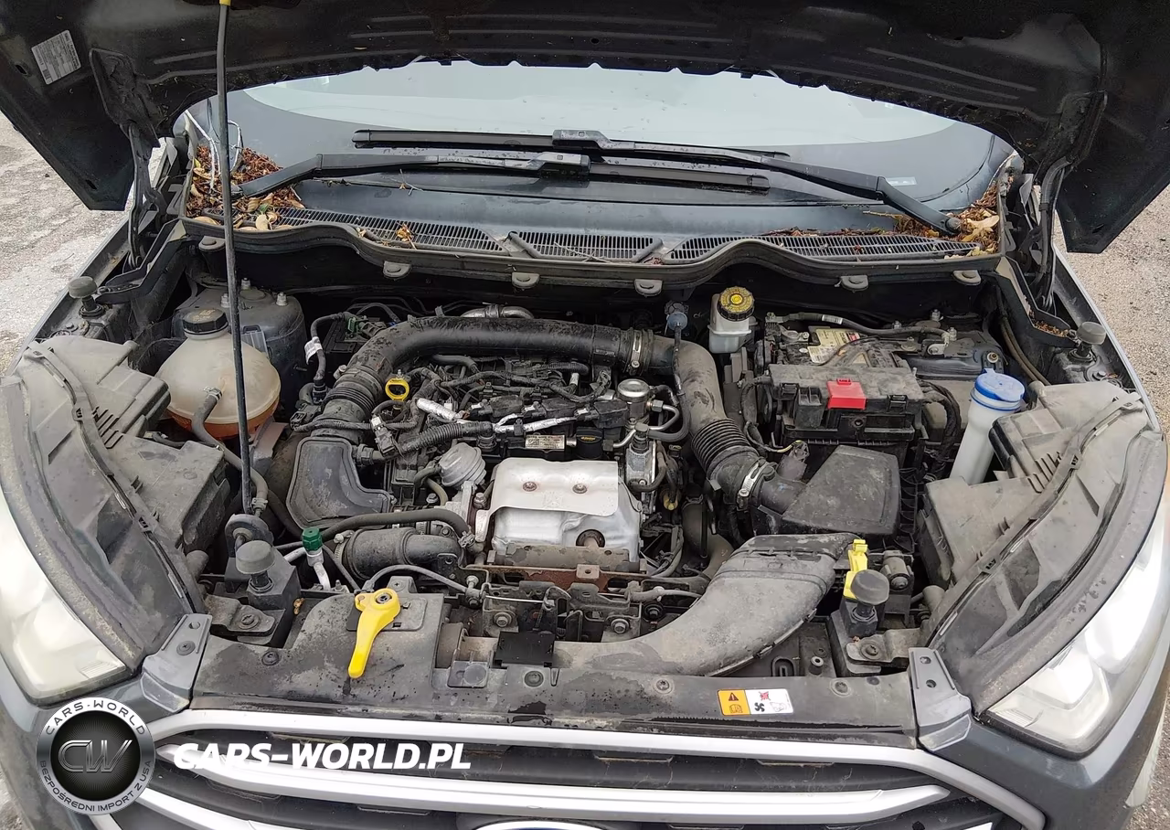 2019 Ford Ecosport Se VIN:MAJ3S2GE8KC262280 - 10