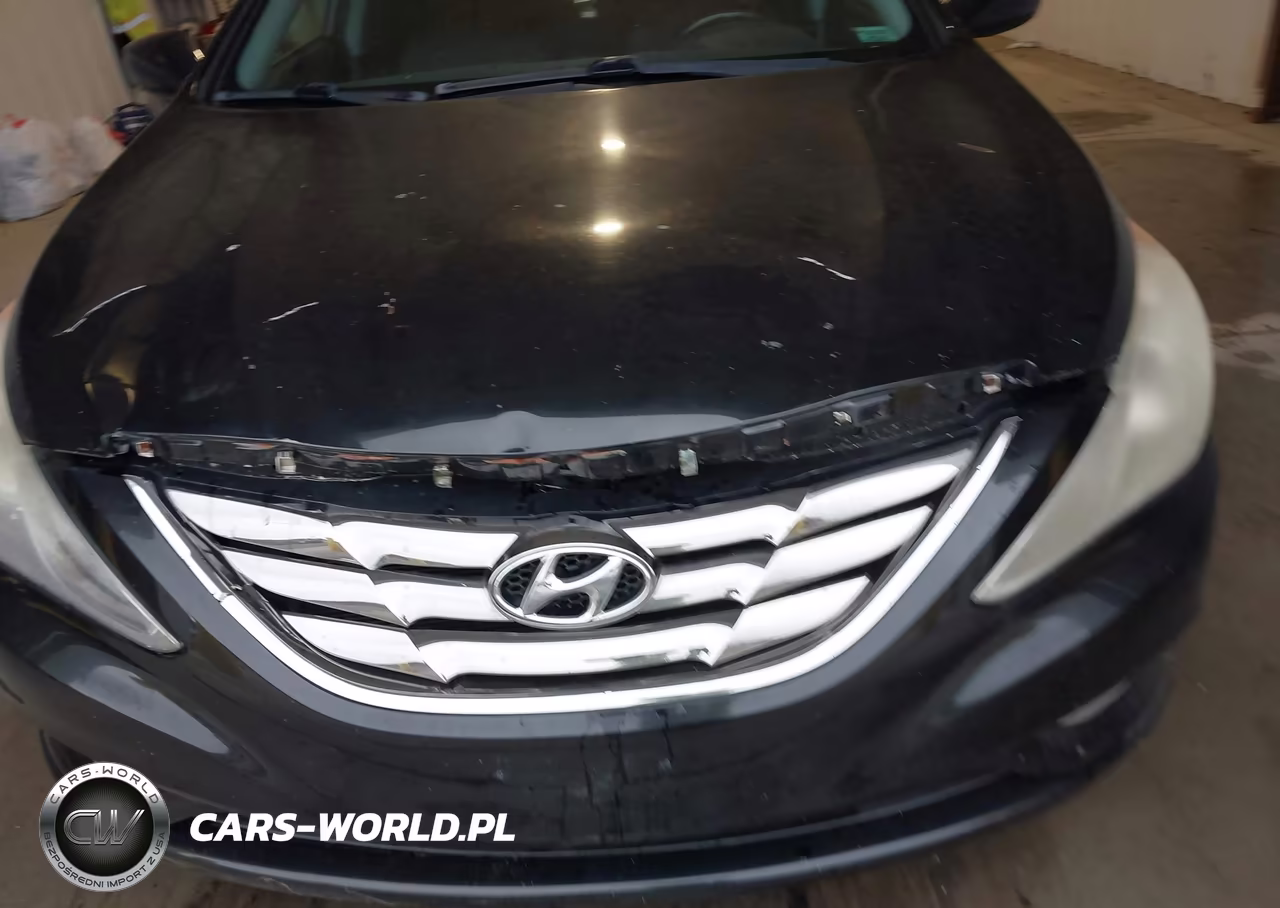 2011 Hyundai Sonata Se VIN:5NPEC4AC8BH062359 - 6