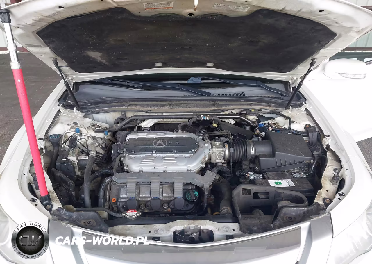 2009 Acura Tl 3.5 VIN:19UUA86579A018570 - 10