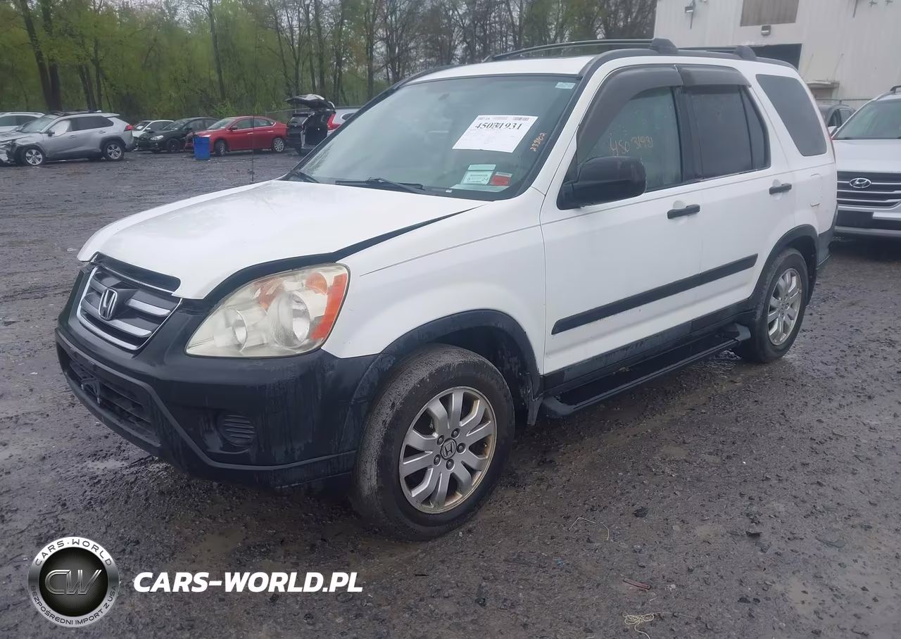 2005 Honda Cr-V Ex VIN:SHSRD78845U304769 - 2