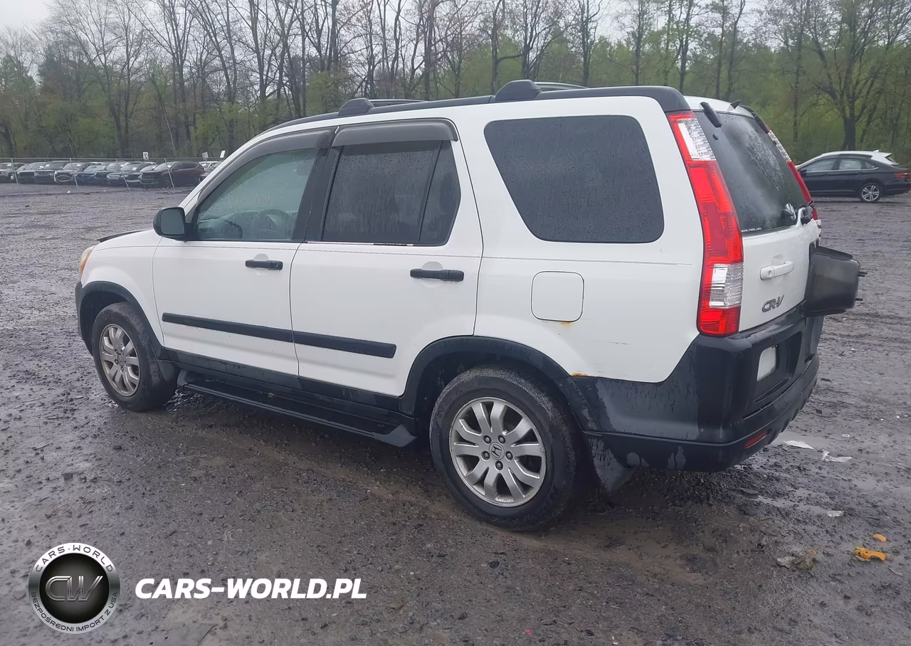 2005 Honda Cr-V Ex VIN:SHSRD78845U304769 - 3