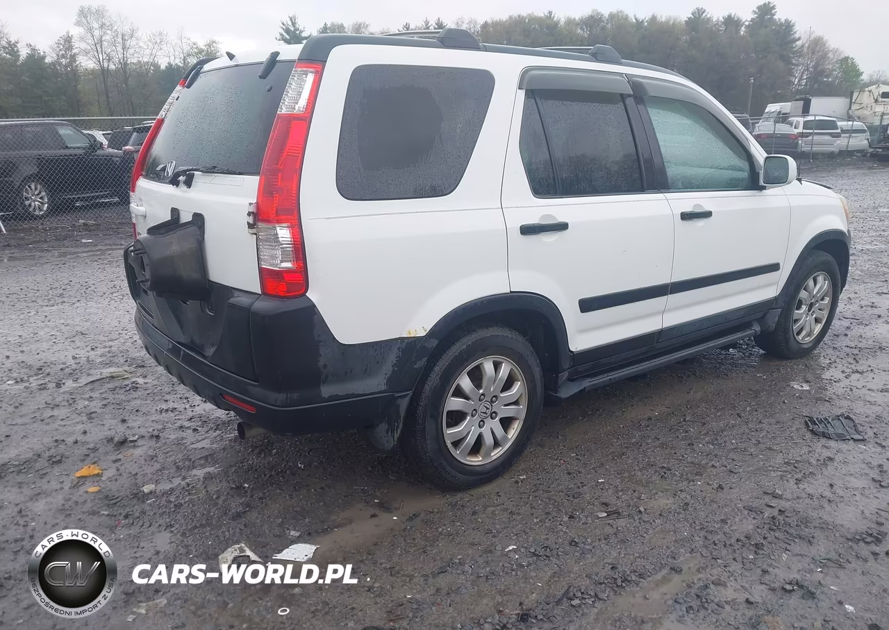 2005 Honda Cr-V Ex VIN:SHSRD78845U304769 - 4