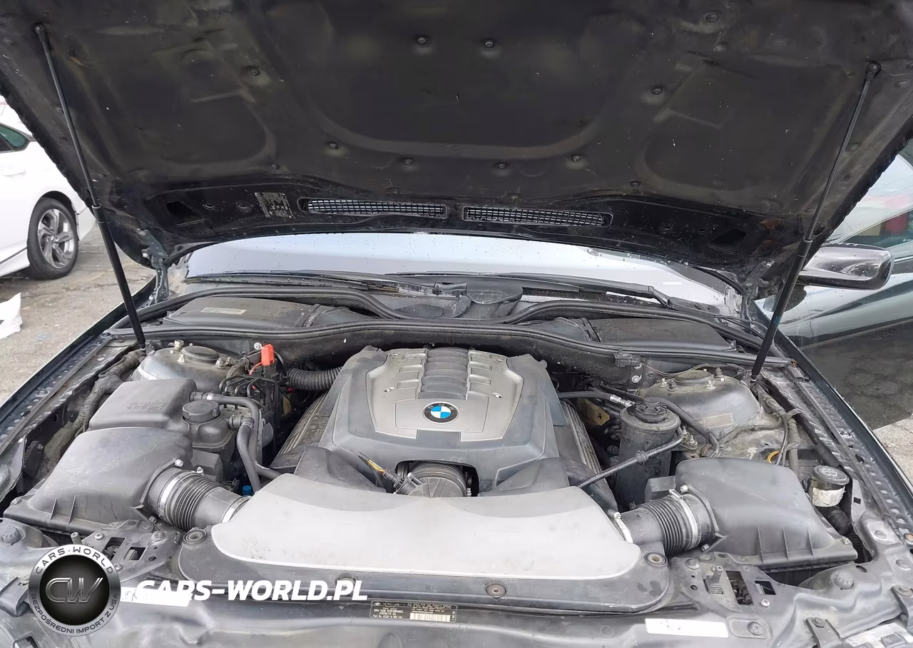 2007 BMW 750Li VIN:WBAHN83577DT71991 - 10