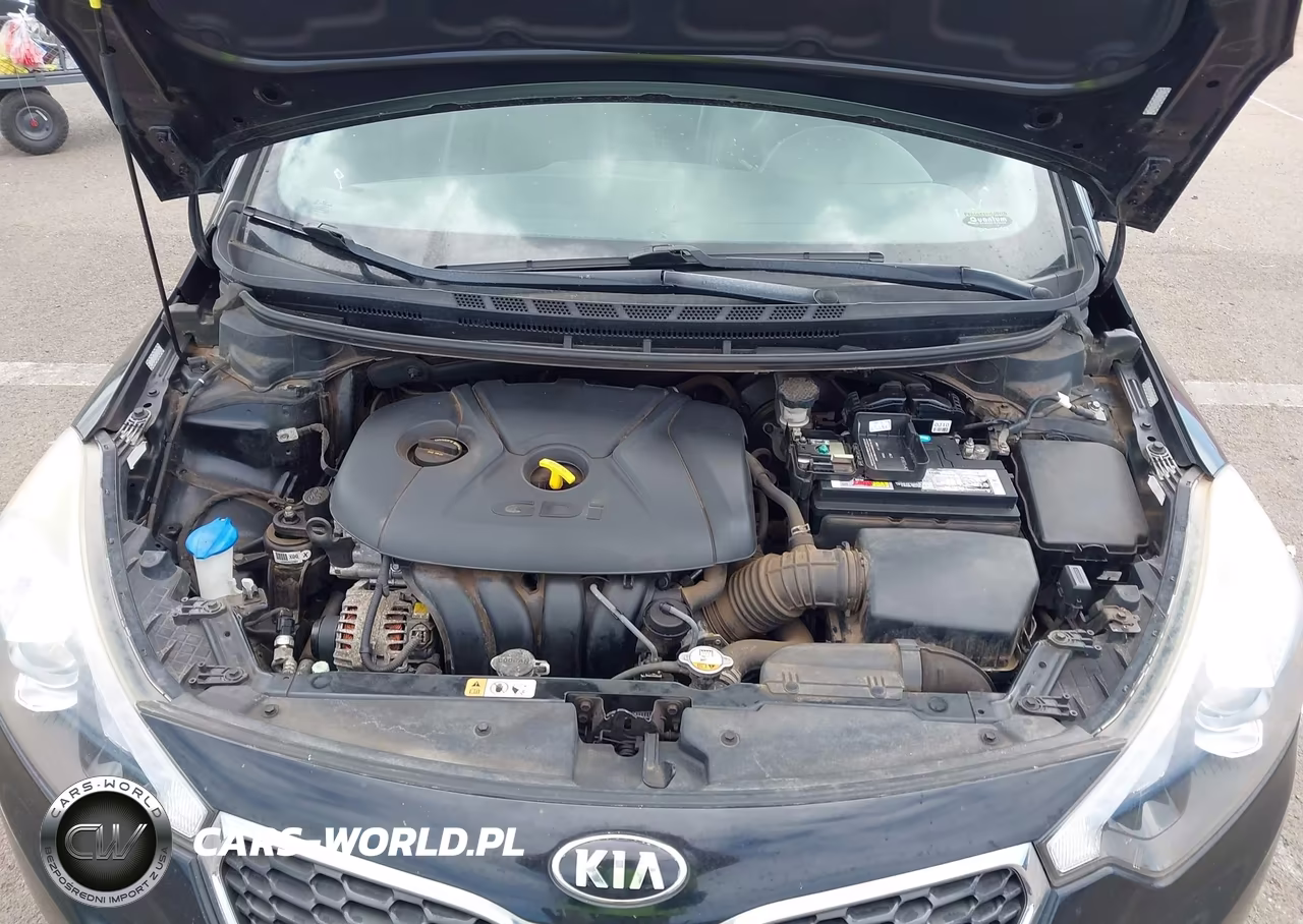2016 Kia Forte Ex VIN:KNAFX5A87G5601276 - 10