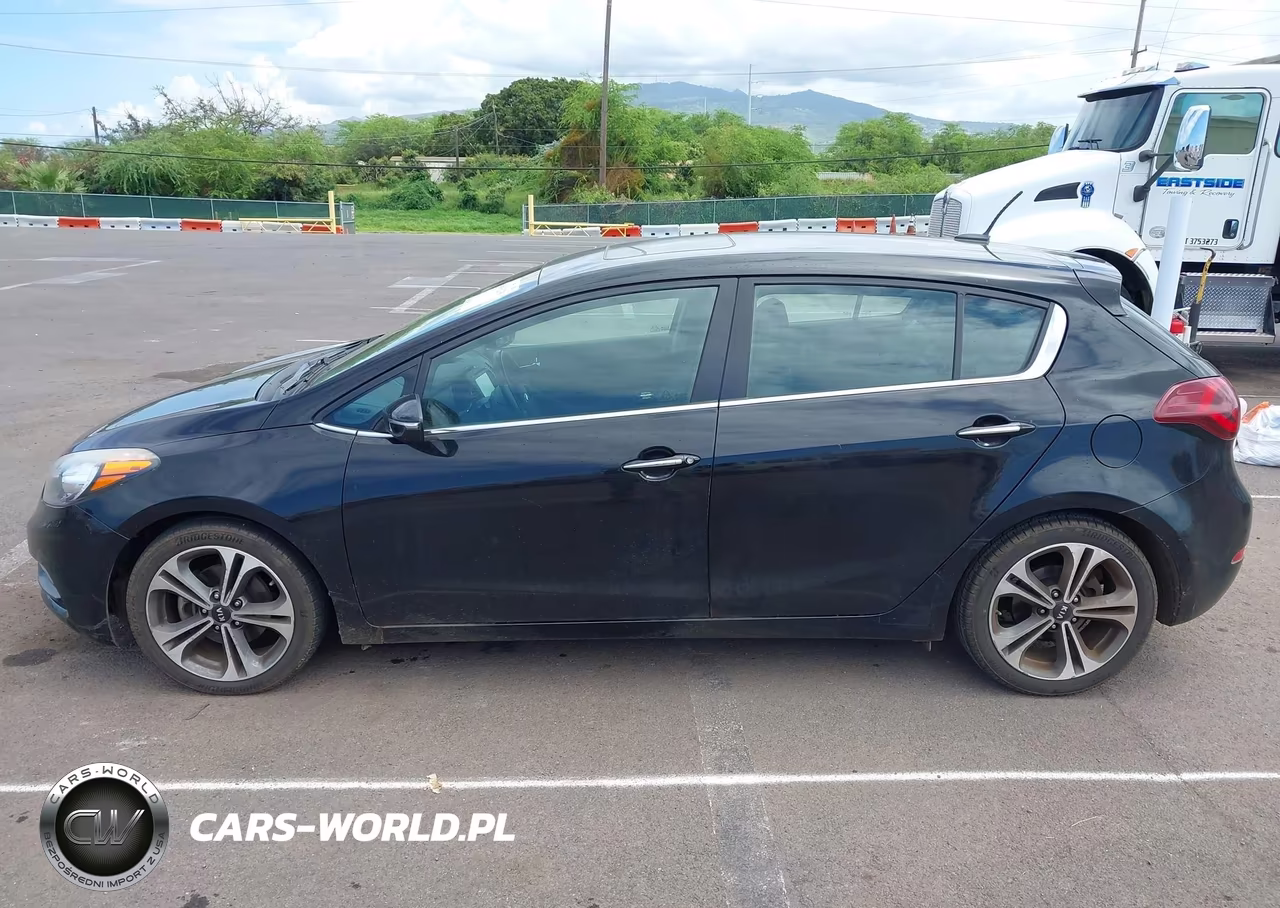 2016 Kia Forte Ex VIN:KNAFX5A87G5601276 - 14
